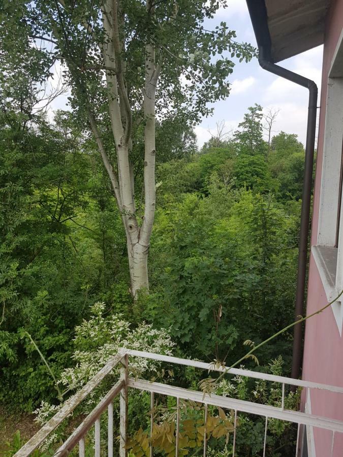Le Case Nel Bosco Vanzago Екстериор снимка